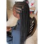 10 Stitch Braids