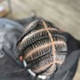 Root Touch Up