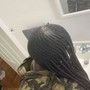 Large Senegalese Twist