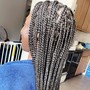 Box Braids small midback