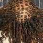 Medium Island Twists, Waist Length