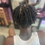 Starter locs