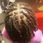 Starter locs two strain twist