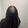 Starter Locs