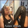 Fulani (tribal) braids/crochet braids in the back (Med)