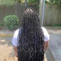 Loc Retwist