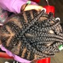 Fulani/Tribal Braids Medium