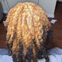 Dreadlocks retwist fade only