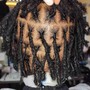 Loc Detox + Retwist