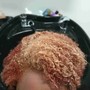 Root Touch Up