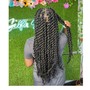 Wash/Jumbo Senegalese twist