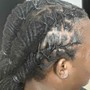 Starter Dreadlocks