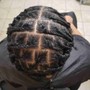 2 Strand Starter Locs