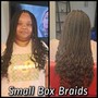 Small Box Braids (Waist length)