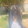 Boho Braids ( medium bra length)