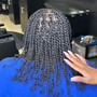 Loc Maintenance