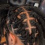 Starter Locs