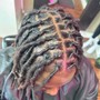 Starter Dreadlocks