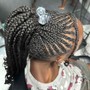 Updo Braids