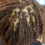 Sister Loc Maintenance