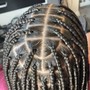 Micro Senegalese Twist (midback)