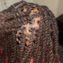 Loc Retwist