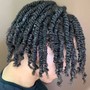 Individual Braids or Two Stand Twist (No Hair Added)