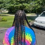 Butterfly Locs