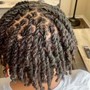 Loc retwist and Style- Traditional locs