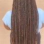 Kid's box Braids or Knotless Braids