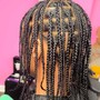 Men Twist/Box Braids | Fade