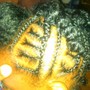 Closure Sew In