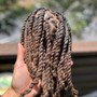 Starter Locs