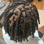 Starter Locs