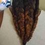 Braided ponytail