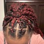 Starter Locs