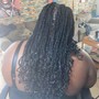 Medium Senegalese Twist med back