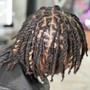 Starter Dreadlocks