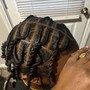 Braids(one or two)