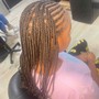 Braids in front Box Braids in back