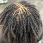 Micro Twists Consultation