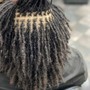 Micro Twists Consultation