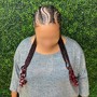 Medium Braided Ponytail