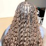 Micro Senegalese Twist (midback)