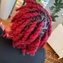 Retwist and Style (Returning Client)