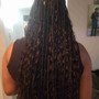 Tree Braids