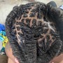 Kid's Feed in Braids