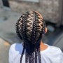 Feed in Braids