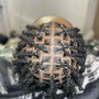 Loc retwist with two strand