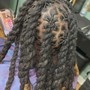 Invisible Locs “Extensions Added”